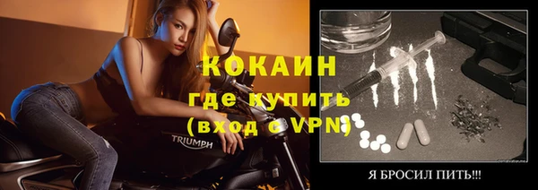 тгк Алексин