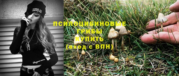 тгк Алексин