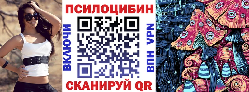 где купить наркоту  Элиста  МЕГА вход  Галлюциногенные грибы Psilocybine cubensis 