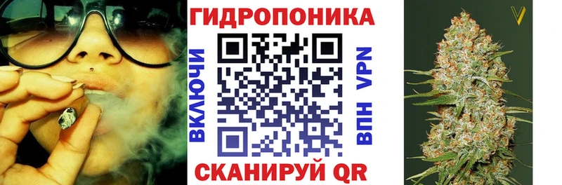 как найти наркотики  KRAKEN ONION  Конопля тримм  Элиста 